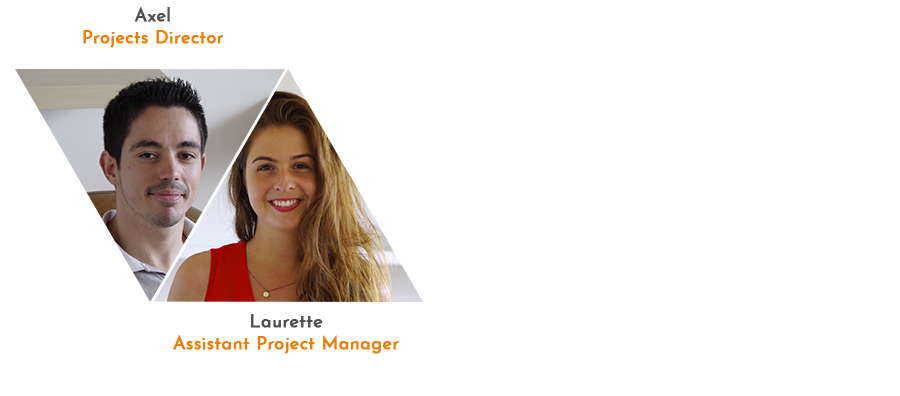 Servicio de Proyectos